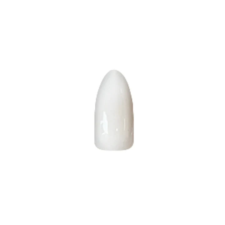 2 oz American Chisel Brand Acrylic and Dipping Powder for Nail Art