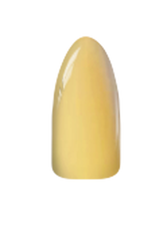 2 oz Solid Chisel Brand Acrylic and Dipping Powder, Shade 196 for Nail Art Creation