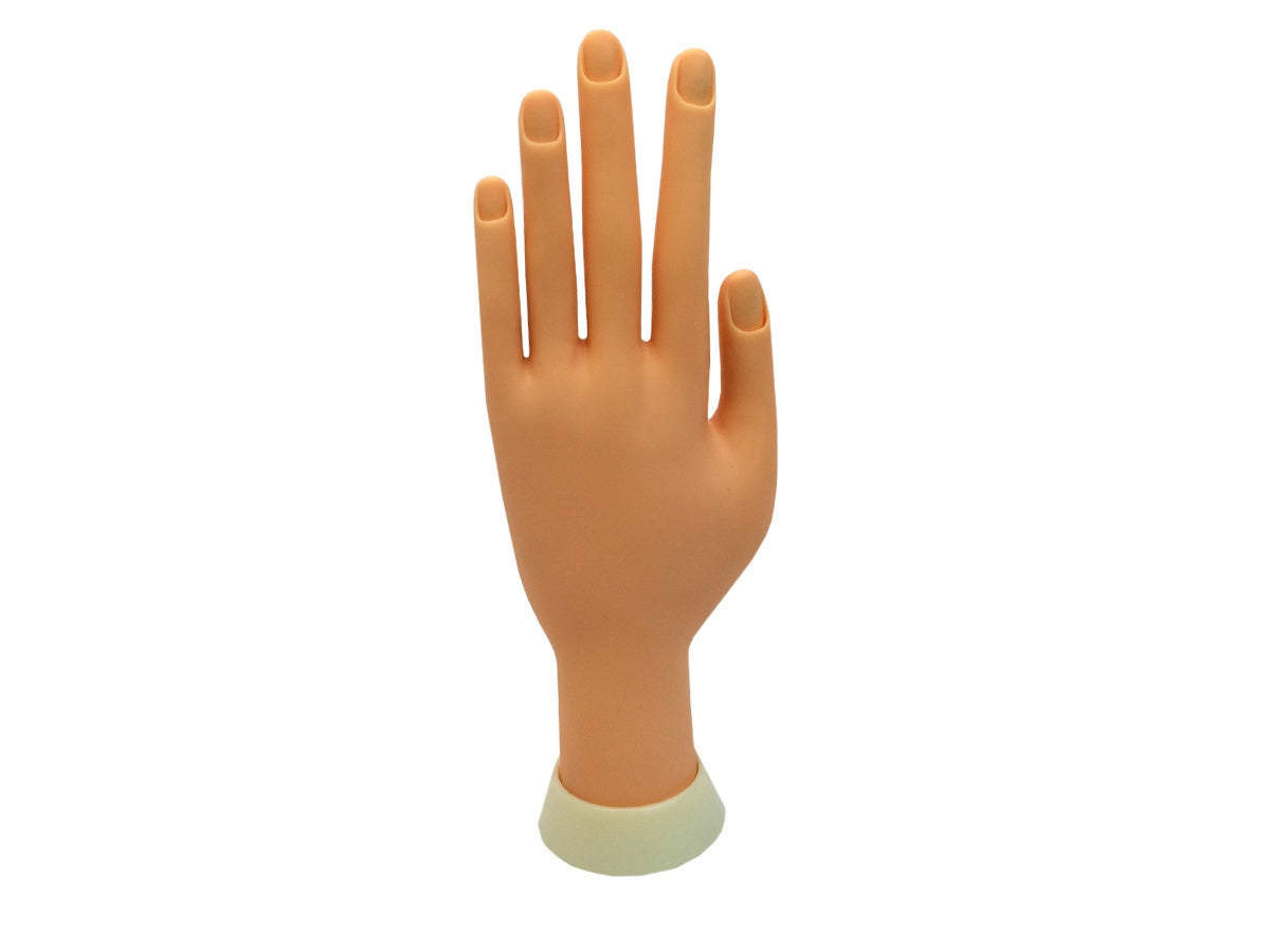Beauticom Versatile Hand Nail Training Display - Wall or Table Stand