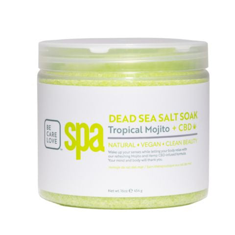 BCL SPA 16oz Mojito Mint Dead Sea Salt Detox Soak